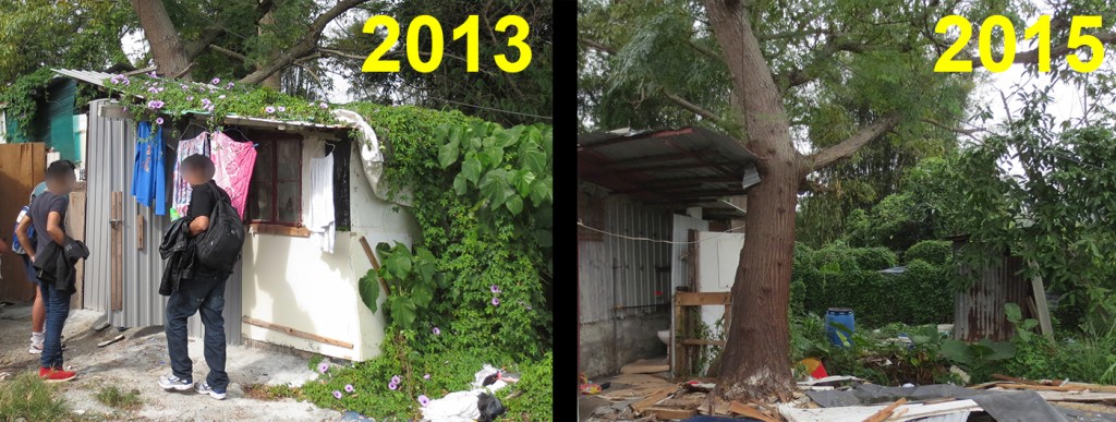 ISS-HK approved hut under a tree (2013 vs 2015)